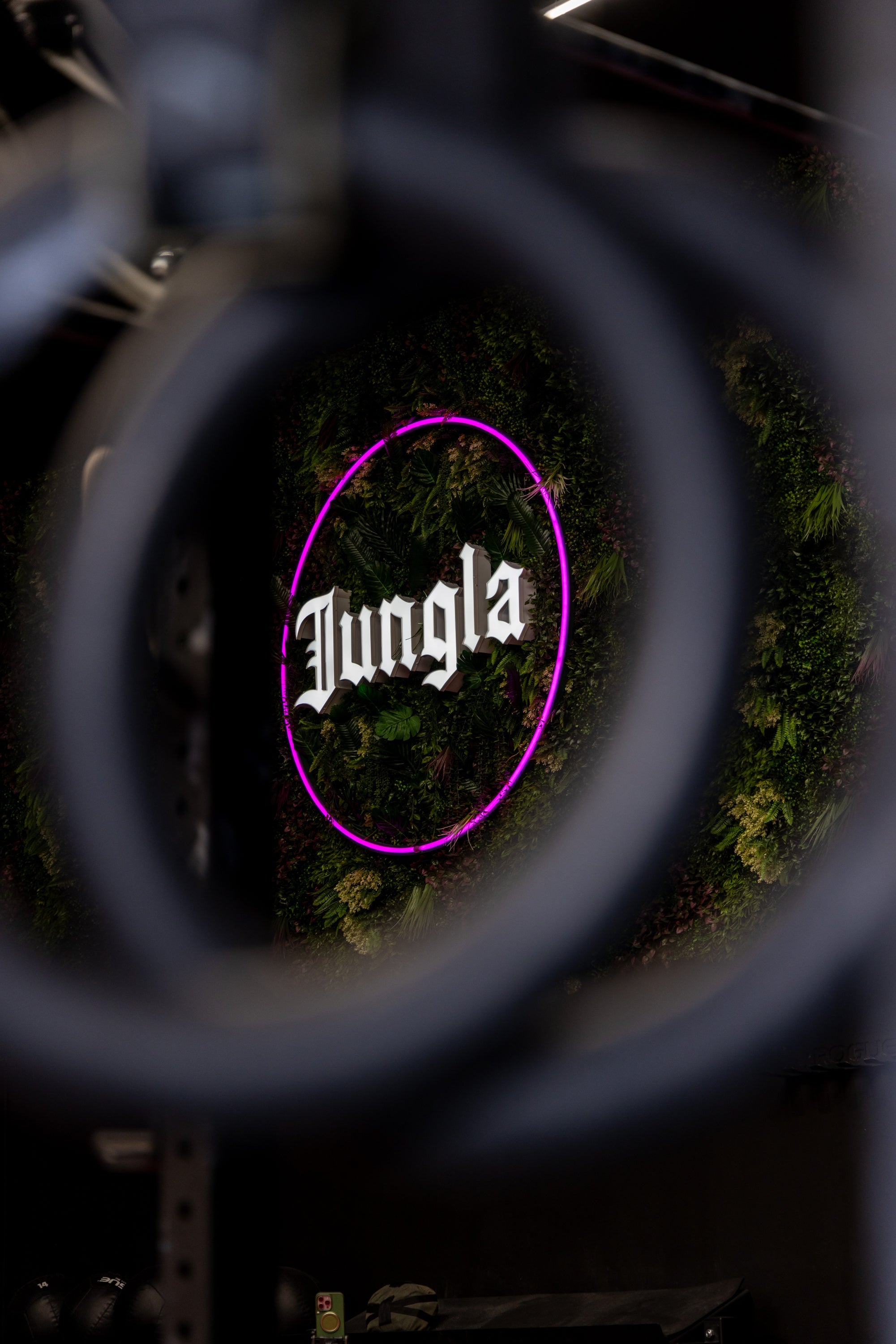 Everything You Need for Wellness in One Place: The Jungla Experience